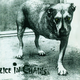 Illustration for article titled 20 éves lett az Alice In Chains kutyás albuma